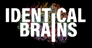 Identical Brains Studios Limited official company logo