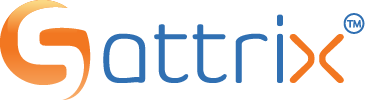 Sattrix Information Security Limited official company logo