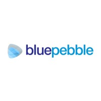 Blue Pebble Limited official company logo