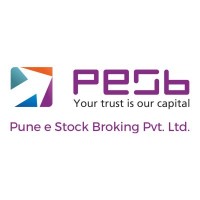 Pune E-Stock Broking Limited official company logo