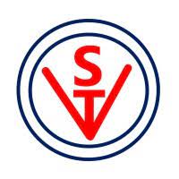 Vibhor Steel Tubes Limited official company logo