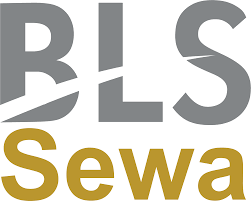 BLS E-Services Limited official company logo