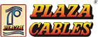 Plaza Wires Limited official company logo