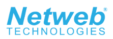 Netweb Technologies India Limited official company logo