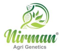 Nirman Agri Genetics Limited official company logo