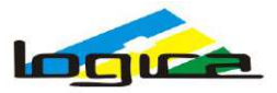 Eastern Logica Infoway Limited official company logo