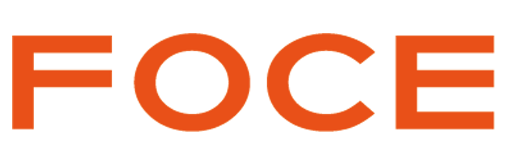 Foce India Limited official company logo