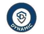 Dynamic Services & Security Limited official company logo
