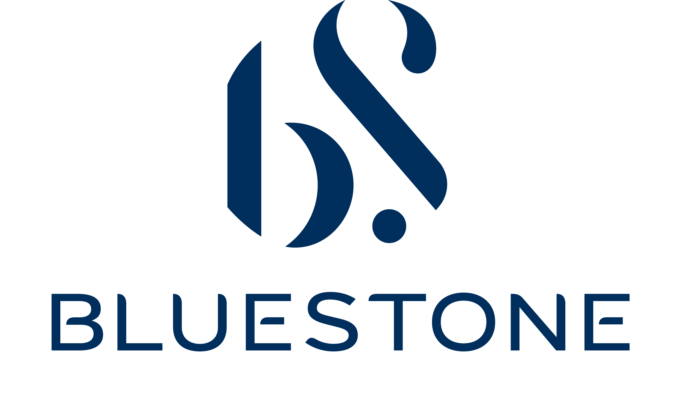 BlueStone Jewellery and Lifestyle Limited official company logo