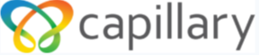 Capillary Technologies India Limited official company logo