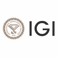 International Gemmological Institute (India) Limited official company logo